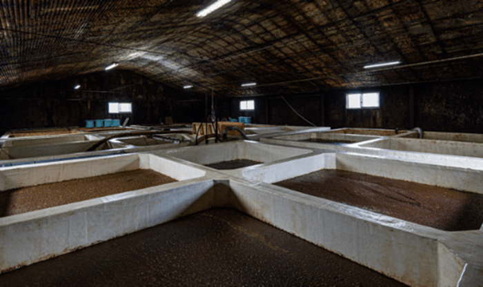 味噌醤油づくりの歴史に触れる「工場見学」