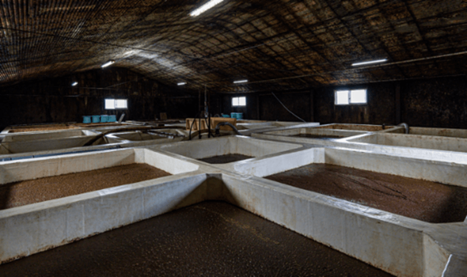 味噌醤油づくりの歴史に触れる「工場見学」