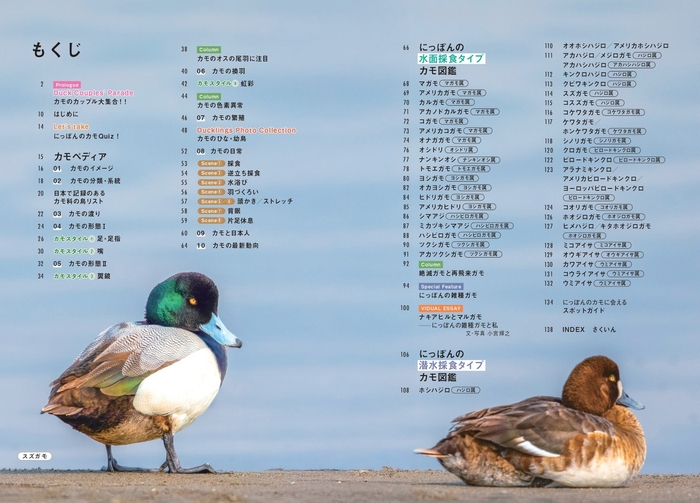 『にっぽんのカモ』もくじ