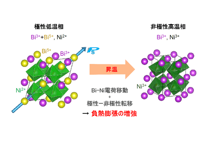 図1：BiNi1-xFexO3の負熱膨張メカニズム。0.20 ≤ x ≤ 0.50では、サイト間電荷移動と極性―非極性転移が同時に起こることにより、負の熱膨張が増強される。