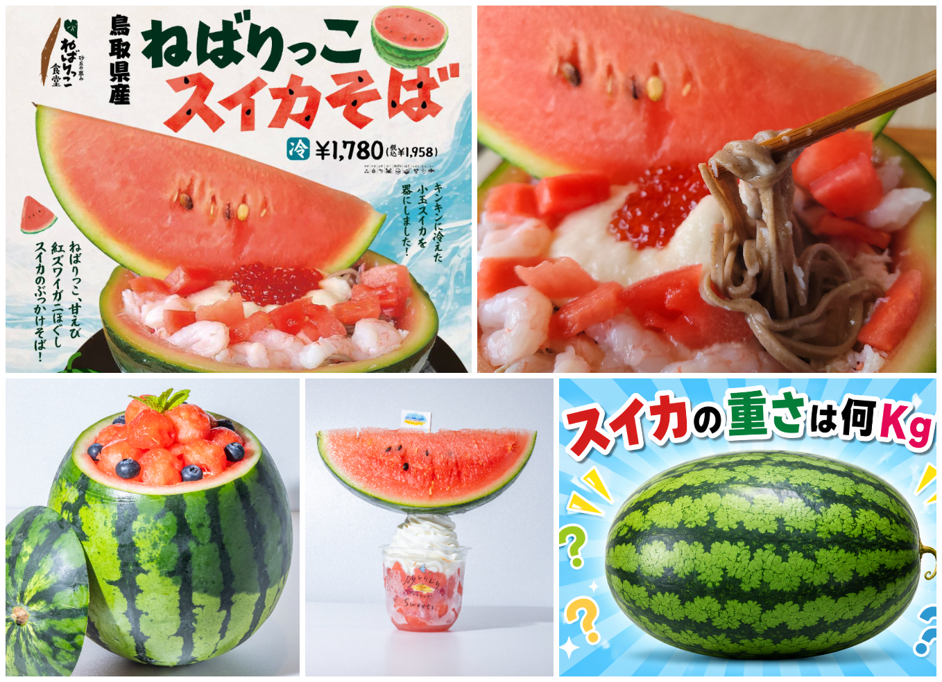 6月13日開幕】鳥取県の夏の味覚「大栄スイカ」を全国へ！ 道の駅