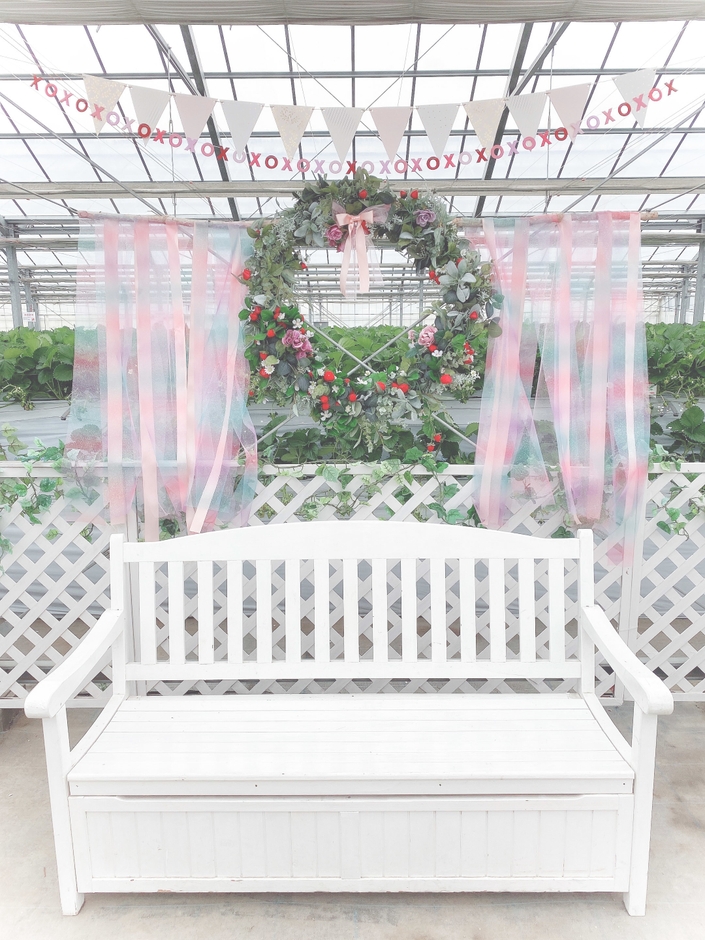 いちごのリース