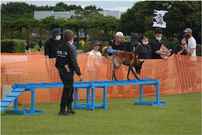 災害救助犬デモンストレーション(1)