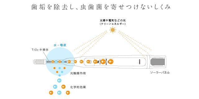 歯垢を除去し、虫歯菌を寄せつけないしくみ(1)