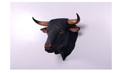 黒毛牛の頭部・壁掛け/Spanish Fighting Bull Head(4)