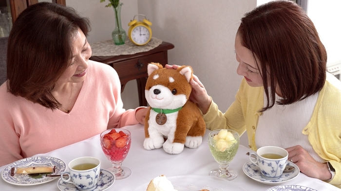 コウタ ティータイム
