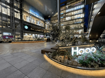 Hoop