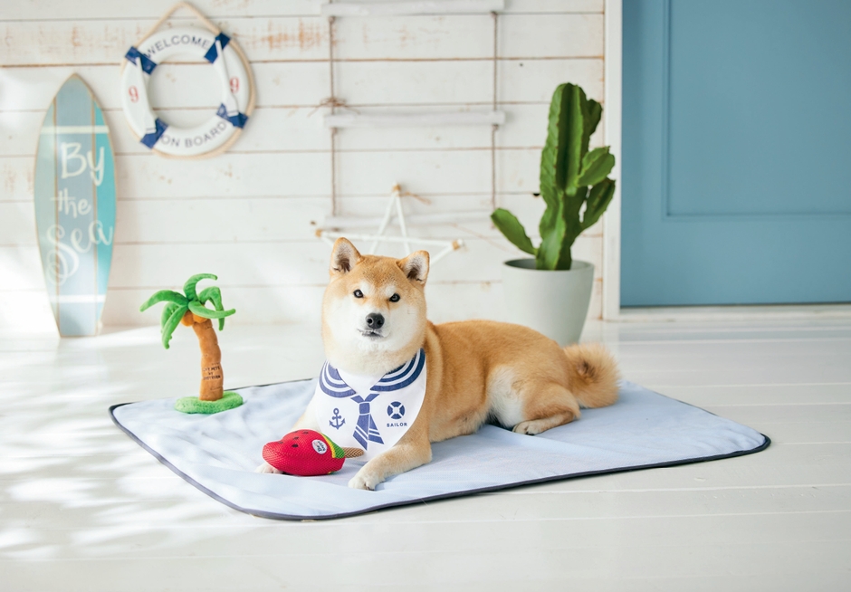 うちの子の笑顔はじける!「フラット」タイプ。COL:ブルー。