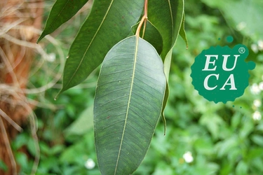 株式会社ユーカ　ヘルスケア事業再開へ 最新の美容健康／ライフススタイル・コンテンツも提供して参ります