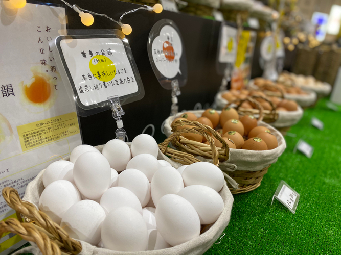 北海道から沖縄まで希少なブランド卵が勢揃い！