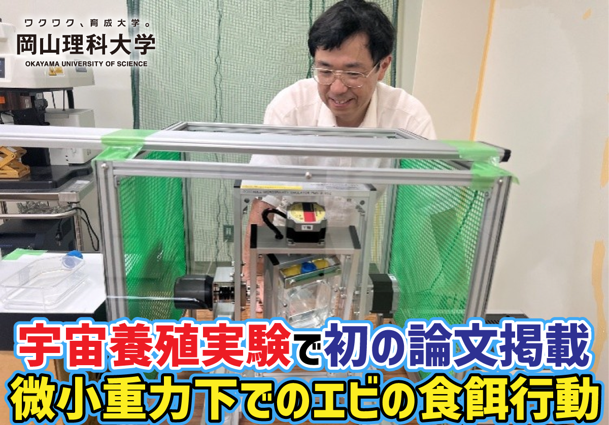 【岡山理科大学】宇宙養殖実験で初の論文掲載 微小重力下でのエビの食餌行動