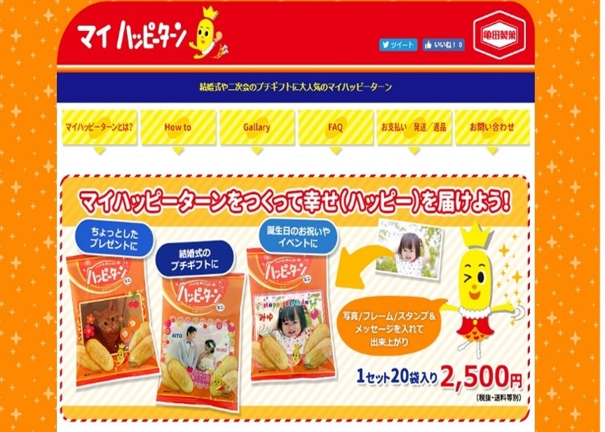 専用WEBサイト トップページ