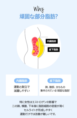 イメージ4