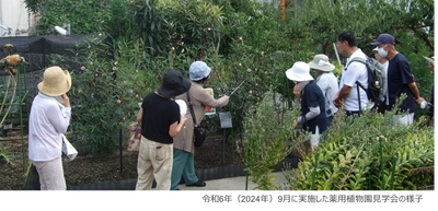 近畿大学薬学部薬用植物園で「朝の植物園散歩　2025」を開催　猛暑を避けた朝の時間帯に、日中では見られない植物を観察