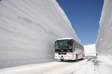 立山黒部アルペンルート、2025年4月15日(火)から 圧倒的高さの雪の壁を体感できる「雪の大谷ウォーク」を開催！