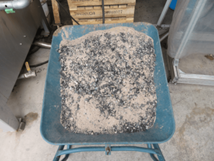 抽出したセラミック（多量のタニシが混入していた）