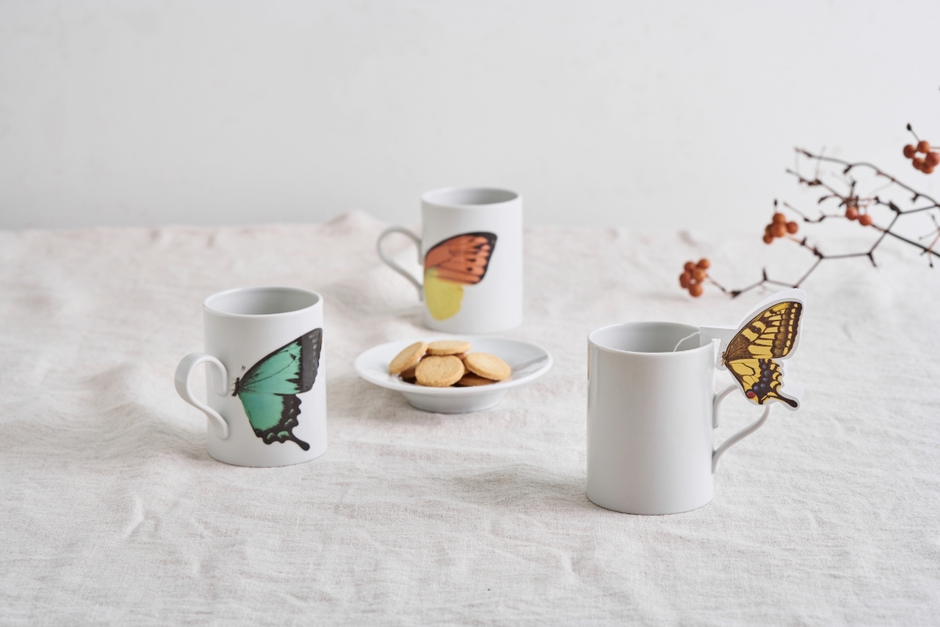 バタフライギフトセット　1