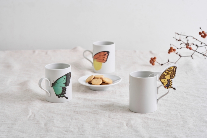 バタフライギフトセット 1