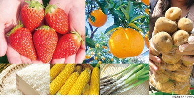 【道の駅木更津うまくたの里】 週末恒例の詰め放題、好評につき継続開催決定！ 農産物詰め放題がさらにグレードアップ、 「甘夏」や「いちご」の果物が新登場！