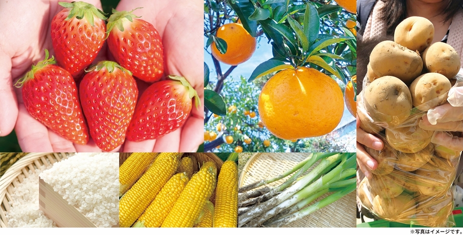 地元契約農家さんの愛情がこもった農産物詰め放題「ウマウマ野菜イベント」に、いちご・甘夏が新登場!