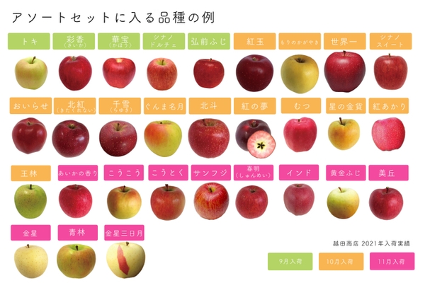 アソートセットに入る品種の例