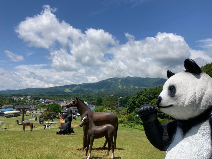 アニマルエリア