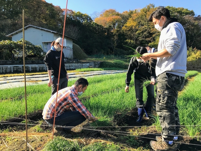 あきさわ園での農作業フィールドワーク