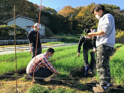 あきさわ園での農作業フィールドワーク
