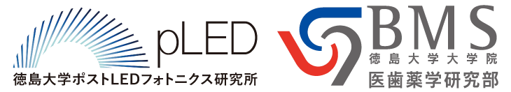 徳島大学ポストLEDフォトニクス研究所 徳島大学大学院医歯薬学研究部
