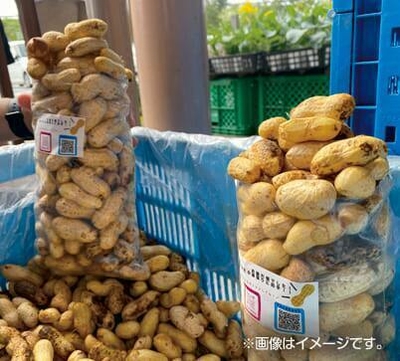●生落花生詰め放題(8/29(土)〜計6回)