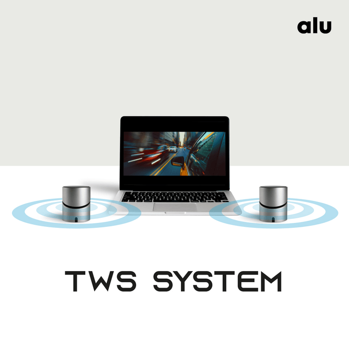 TWS SYSTEM