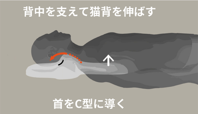 ゴッチョ背まくら4