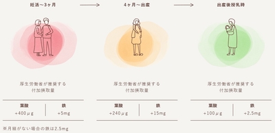 ※厚生労働省「日本人の食事摂取基準」（2015版）をもとにした時期別の付加摂取量
