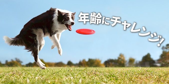 いつまでも活き活き!年齢にチャレンジ