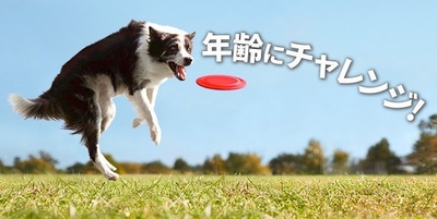 いつまでも活き活き!年齢にチャレンジ