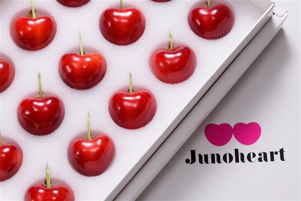 青森県産さくらんぼ「ジュノハート」