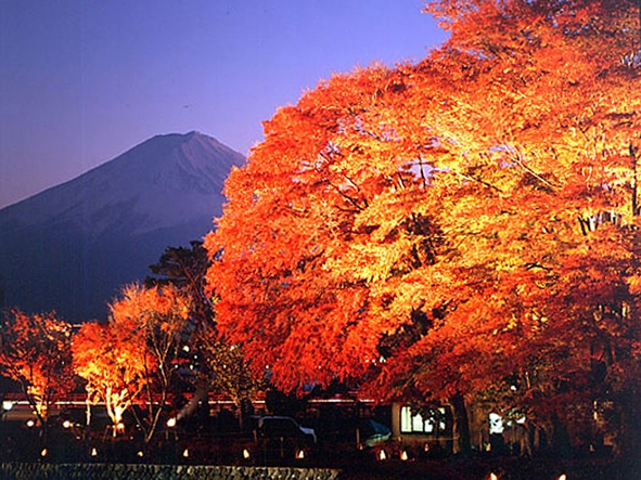 10月31日からは富士河口湖紅葉まつりも開催されます