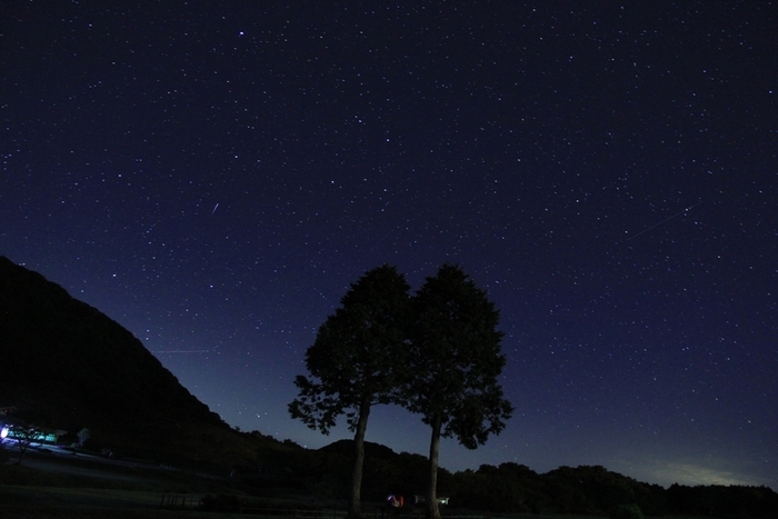 降ってきそうなほど満天の星空(休暇村奥大山)