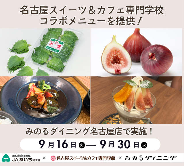1人用ちゃんこ鍋『おひとり様ちゃんこ』がスタート！ 1人で気軽
