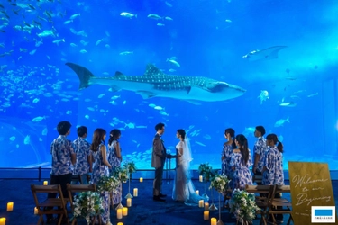 12月11日から海洋博公園・沖縄美ら海水族館での リゾートウェディングサービスを開始！
