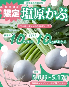 【SNSキャンペーン】総計100kg！ 那須塩原ブランド「塩原かぶ」10kgを10名様にプレゼント！