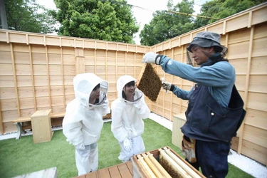 夏休みの予約まだ間に合う！ 伊勢志摩で「はちみつ採取体験」の受付開始