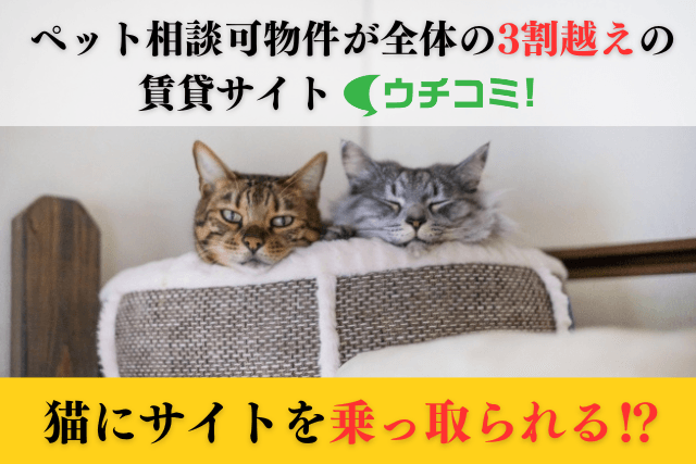 大家直接募集のウチコミ！が猫に乗っ取られた！？