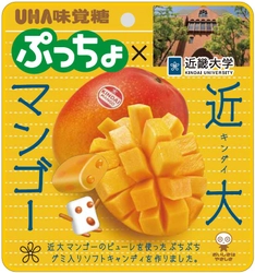 近畿大学&#215;UHA味覚糖株式会社　ぷっちょUniversity第1弾「ぷっちょ　近大マンゴー」新発売