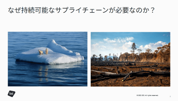 動画パート1:なぜ持続可能なサプライチェーンが必要なのか?