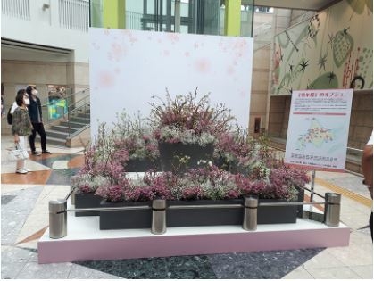 昨年の展示の様子@札幌駅