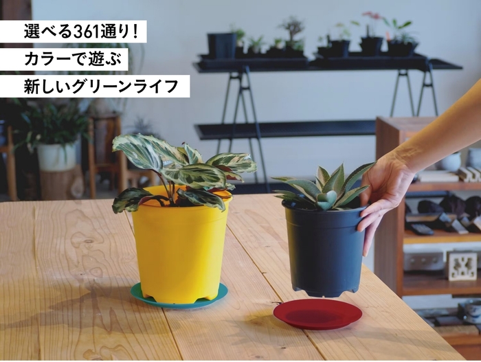 サブサムネイル