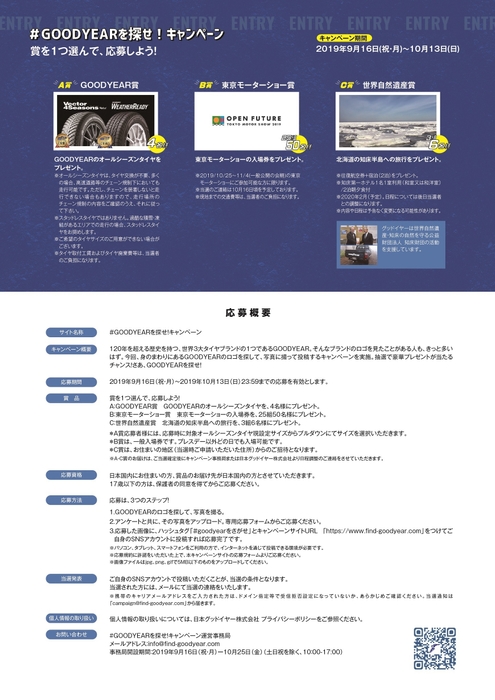 キャンペーン説明(2)