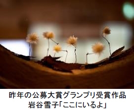 昨年の公募大賞グランプリ受賞作品