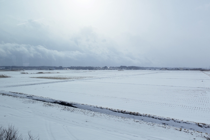 【青森屋】酒のあで雪見列車　雪原風景